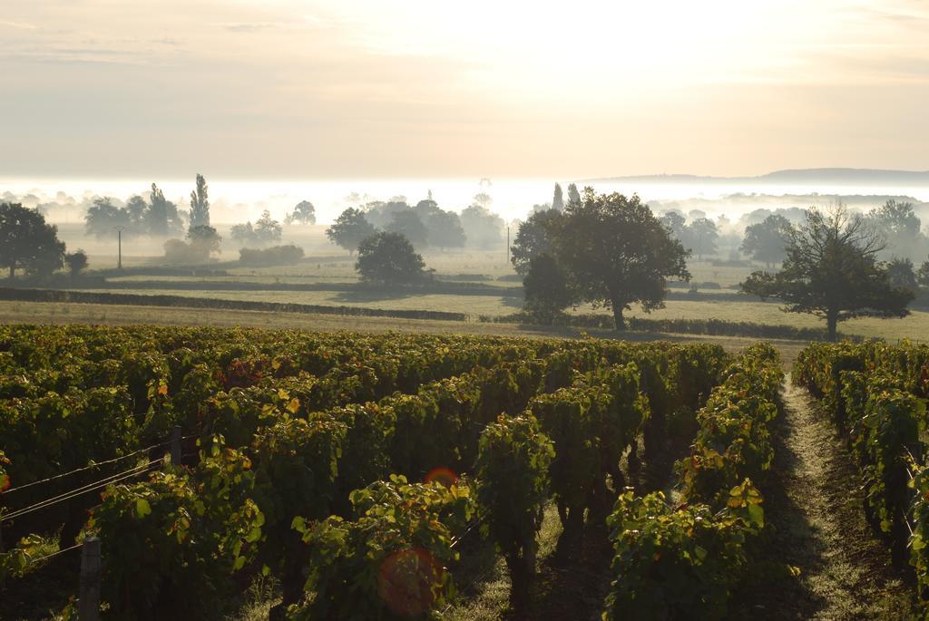 Le Haut De Collonge Villa Saint-Boil Bagian luar foto
