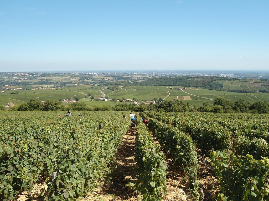 Le Haut De Collonge Villa Saint-Boil Bagian luar foto
